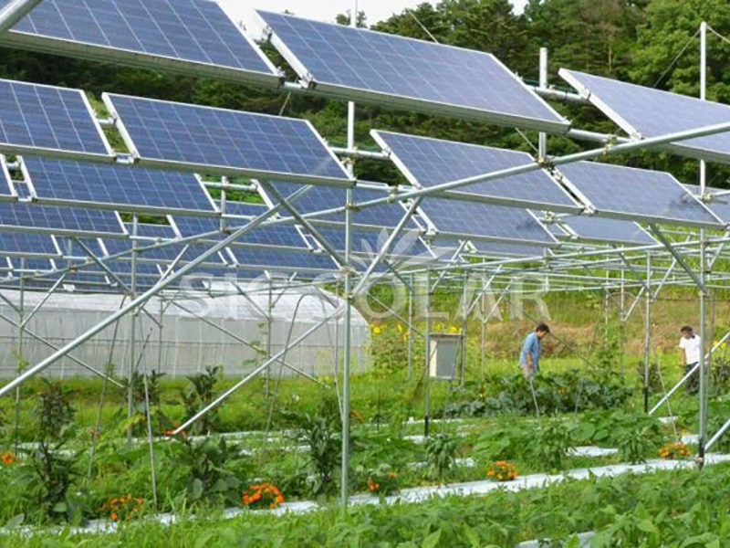 agricultural photovoltaic solar racking system