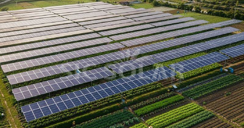 agricultural solar panel systems