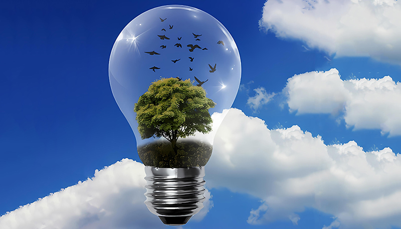 شهدت أوكرانيا زيادة بنسبة 10٪ في توليد الطاقة المتجددة