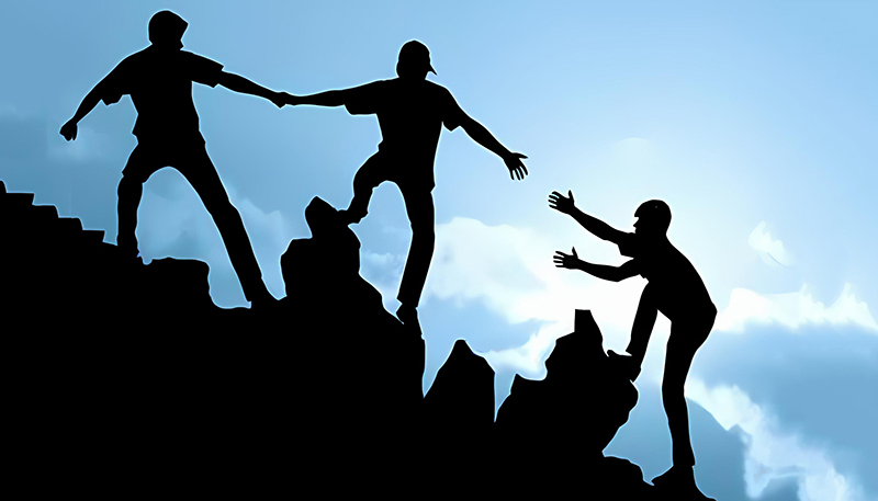 تم تشغيل الموقع الجديد لشركة SIC SOLAR